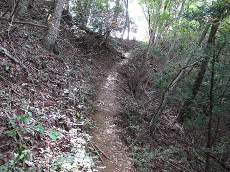 20151006hike (187)